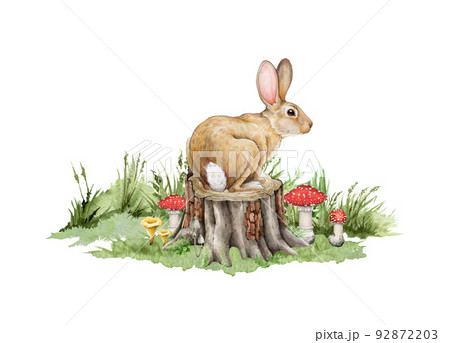 Bunny on the tree stump. Hand drawn illustration. Cute bunny sitting on the tree stump, in green grass, forest mushrooms. Wildlife forest scene. White background 92872203