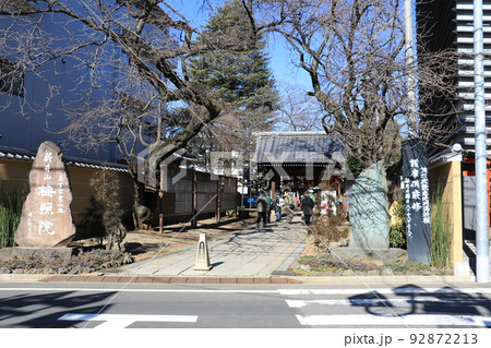 東京都中野区新井の梅照院新井薬師 東京都中野区新井の梅照院新井薬師 92872213