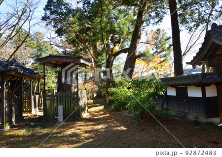 西念寺の紅葉 2021-11-28　＃11 92872483