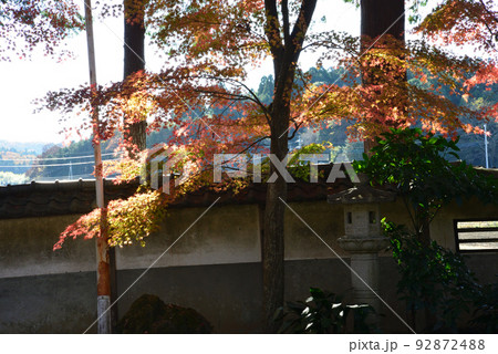 西念寺の紅葉 2021-11-28　＃14 92872488