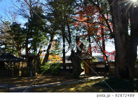 西念寺の紅葉 2021-11-28　＃15 92872489