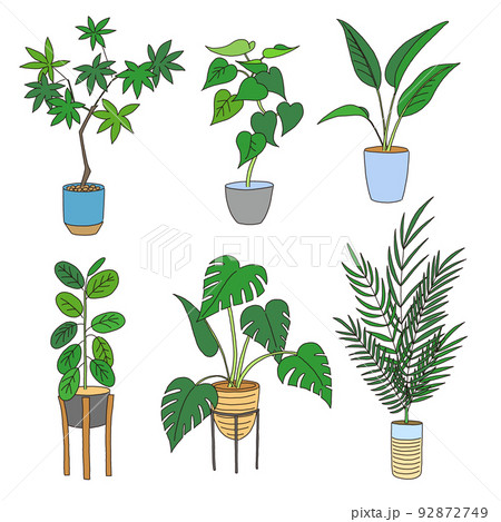 鉢に植えられた観葉植物のセット ベクターイラスト 鉢に植えられた観葉植物のセット ベクターイラスト 92872749