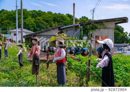 樹齢1200年の巨木がそびえる神秘の小島　志々島 92872904