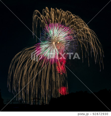 岡崎花火 2022 岡崎花火 2022 92872930