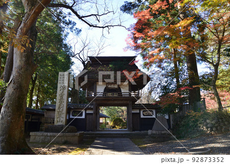 西念寺の紅葉 2021-11-28　＃32 92873352