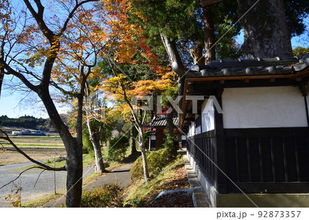 西念寺の紅葉 2021-11-28 #37 西念寺の紅葉 2021-11-28 #37 92873357