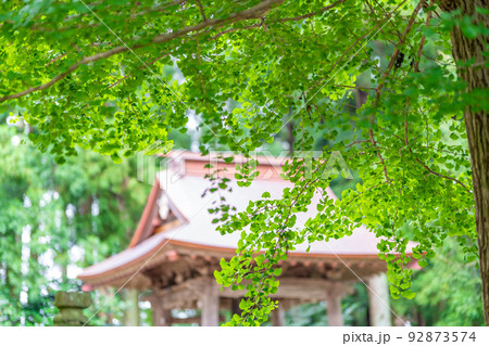 加美郡加美町 鹿島神社 鐘つき堂 新緑 加美郡加美町 鹿島神社 鐘つき堂 新緑 92873574