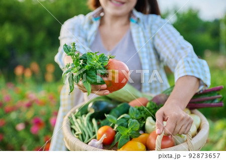 Close up basket of fresh raw organic vegetables...の写真素材 [92873657] - PIXTA