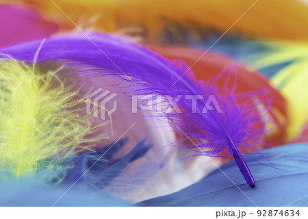 Multicolored goose feathers Multicolored goose feathers 92874634