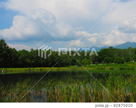まるやち湖 長野県諏訪郡原村 まるやち湖 長野県諏訪郡原村 92875010