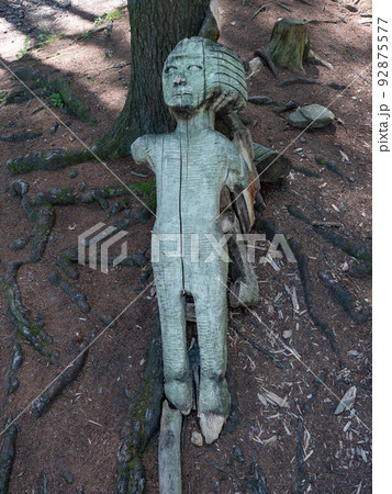 Wooden statue as a guardian of the footpath, Jesenik spa park 92875577