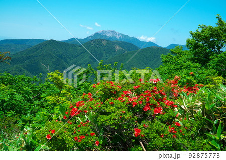 上蒜山への登山道から望む大山とヤマツツジ1　岡山県真庭市 92875773