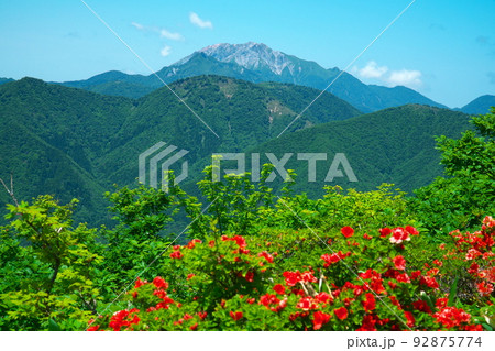 上蒜山への登山道から望む大山とヤマツツジ2 岡山県真庭市 上蒜山への登山道から望む大山とヤマツツジ2 岡山県真庭市 92875774