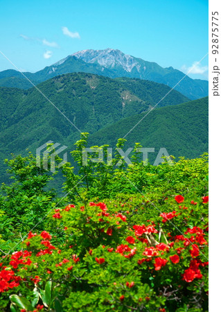 上蒜山への登山道から望む大山とヤマツツジ3　岡山県真庭市 92875775