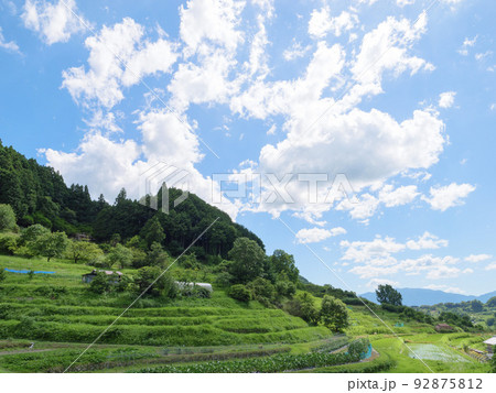 アジア、真夏の農村、青空と森に囲まれたさわやかで美しい風景。 92875812