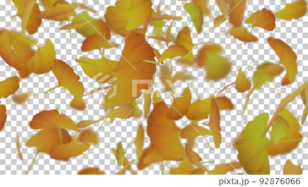 Background illustration with falling ginkgo leaves Background illustration with falling ginkgo leaves 92876066