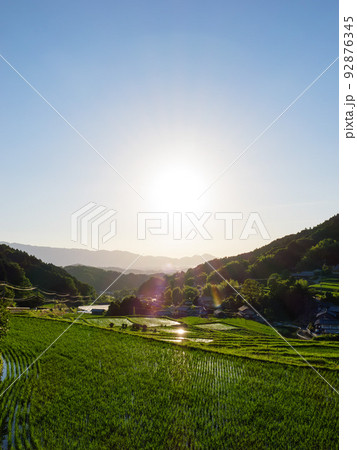 日本の夏、真っ赤な夕日に照らされた水田と稲の苗。 日本の夏、真っ赤な夕日に照らされた水田と稲の苗。 92876345
