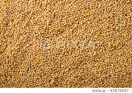Dry uncoocked Soybeans background flat lay view Dry uncoocked Soybeans background flat lay view 92876497