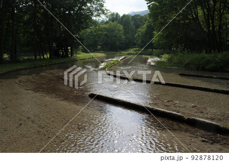 水を温める農業用水路 92878120