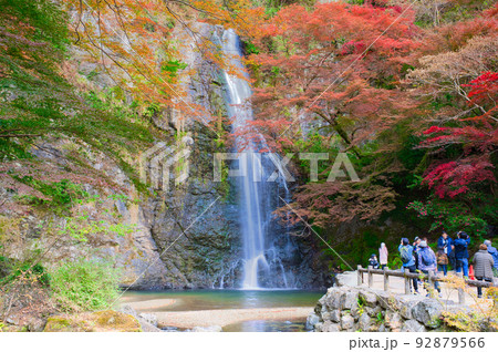 【大阪府】11月・紅葉シーズンの箕面公園 【大阪府】11月・紅葉シーズンの箕面公園 92879566