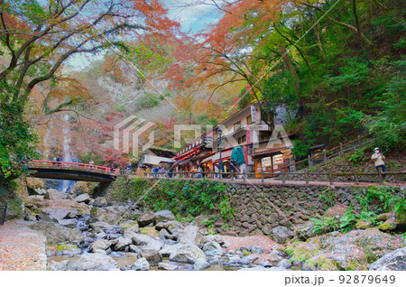 【大阪府】11月・紅葉シーズンの箕面公園 【大阪府】11月・紅葉シーズンの箕面公園 92879649