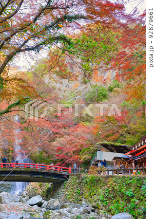 【大阪府】11月・紅葉シーズンの箕面公園 92879661