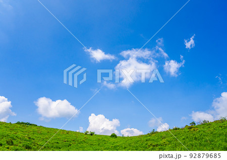 夏の踊場湿原 池のくるみ 92879685