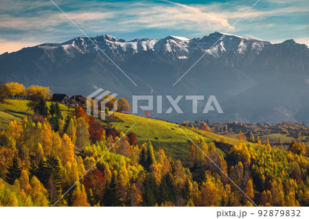 Autumn scenery with colorful deciduous trees on the hills, Romania Autumn scenery with colorful deciduous trees on the hills, Romania 92879832