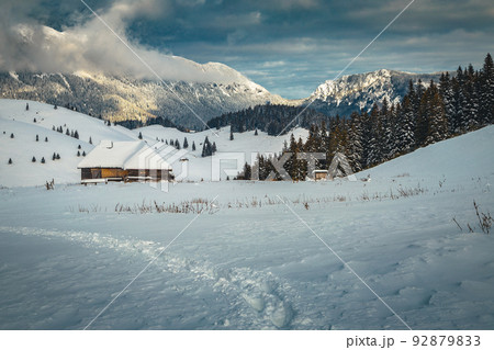 Winter landscape with deep snow and snowy pine forest, Romania Winter landscape with deep snow and snowy pine forest, Romania 92879833