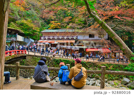 【大阪府】11月・紅葉シーズンの箕面公園 92880016