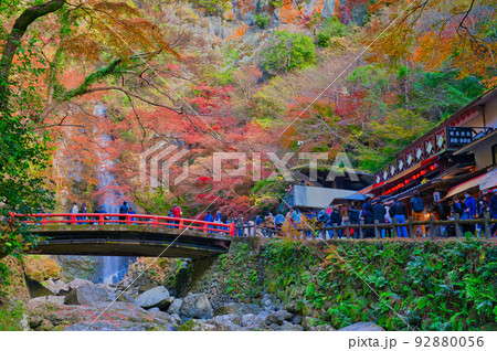 【大阪府】11月・紅葉シーズンの箕面公園 92880056