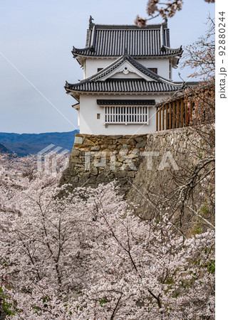 鶴山公園津山さくらまつり~津山城備中櫓~ 鶴山公園津山さくらまつり~津山城備中櫓~ 92880244