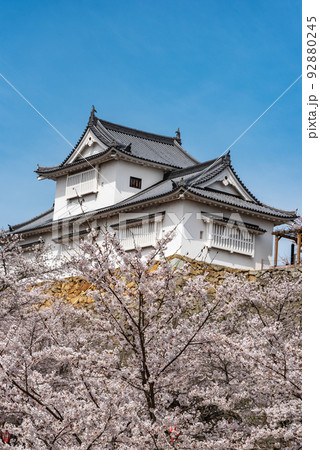 鶴山公園津山さくらまつり~津山城備中櫓~ 鶴山公園津山さくらまつり~津山城備中櫓~ 92880245