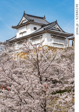 鶴山公園津山さくらまつり～津山城備中櫓～　 92880246