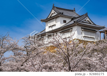 鶴山公園津山さくらまつり~津山城備中櫓~ 鶴山公園津山さくらまつり~津山城備中櫓~ 92880275