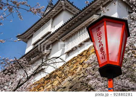 鶴山公園津山さくらまつり~津山城備中櫓~ 鶴山公園津山さくらまつり~津山城備中櫓~ 92880281