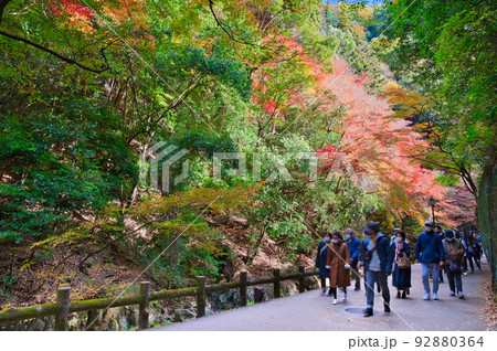 【大阪府】11月・紅葉シーズンの箕面公園 【大阪府】11月・紅葉シーズンの箕面公園 92880364