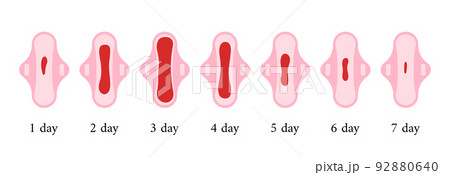 Menstrual period blood on sanitary pad set depending on the day of the cycle. 92880640