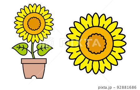 ひまわりのイラスト素材 92881686