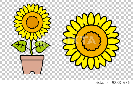 ひまわりのイラスト素材 92881686