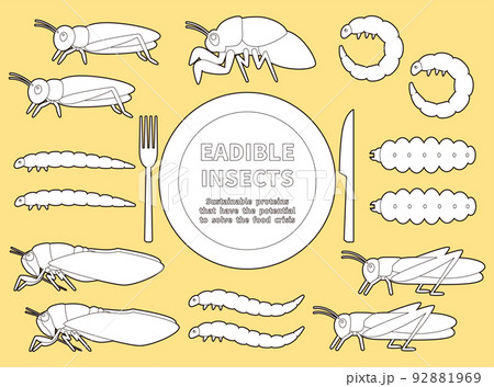 食べられる昆虫のイラストセット　白塗り 92881969