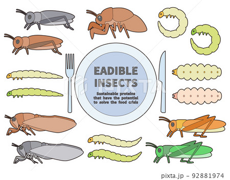 食べられる昆虫のイラストセット　主線あり 92881974