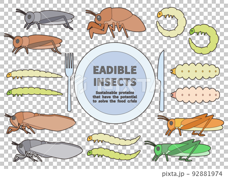 食べられる昆虫のイラストセット　主線あり 92881974