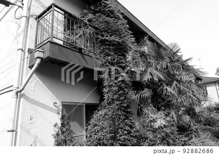 植物に侵食された廃アパート 92882686
