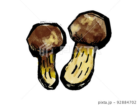 松茸の和風イラスト素材 92884702