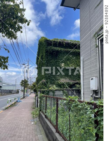 草におおわれた建物 92884892