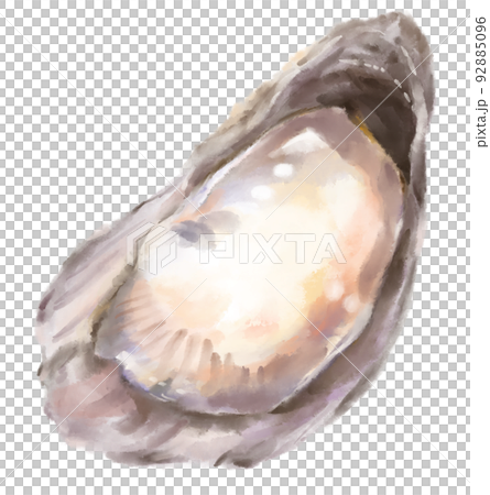 Fresh raw oyster watercolor painting seafood shellfish art illustration 92885096