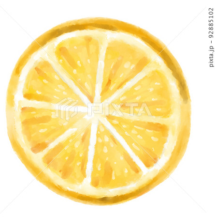 Fresh yellow lemon citrus watercolor painting art illustration 92885102