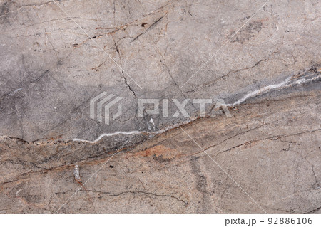 Silver Roots Marble background, texture in stylish tone. 92886106