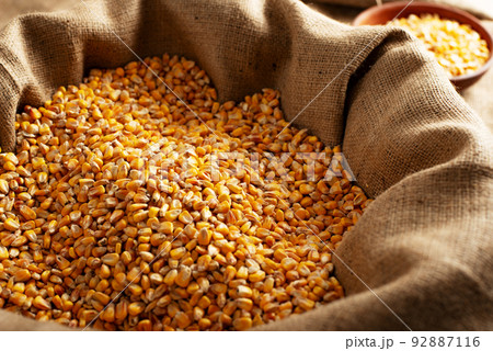 Burlap sack filled with corn kernels and clay bowl aside 92887116